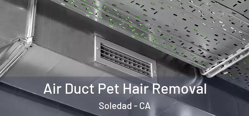 Air Duct Pet Hair Removal Soledad - CA