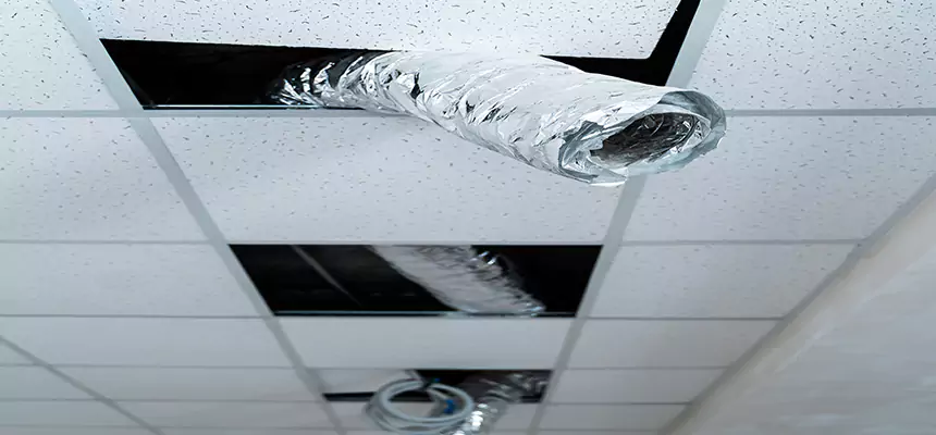 Affordable HVAC Sanitizing After Pest Removal in Soledad