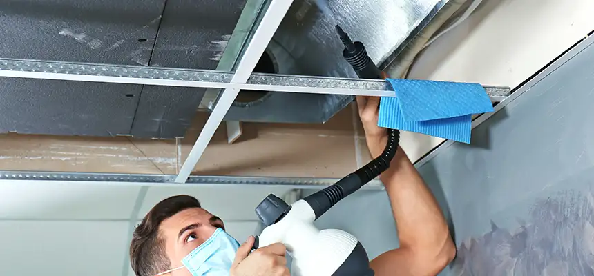 Our Air Duct Rodent Removal Services in Soledad, CA