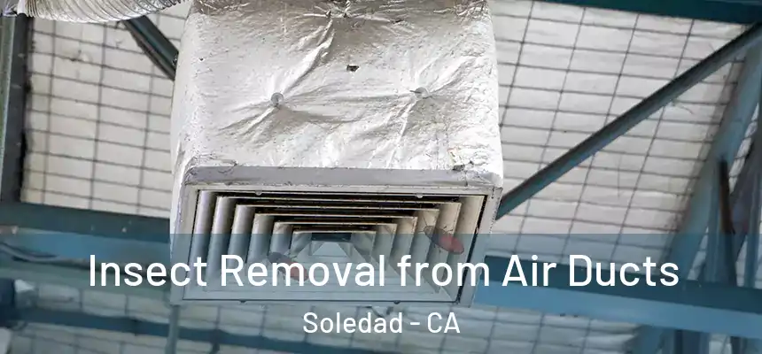  Insect Removal from Air Ducts Soledad - CA