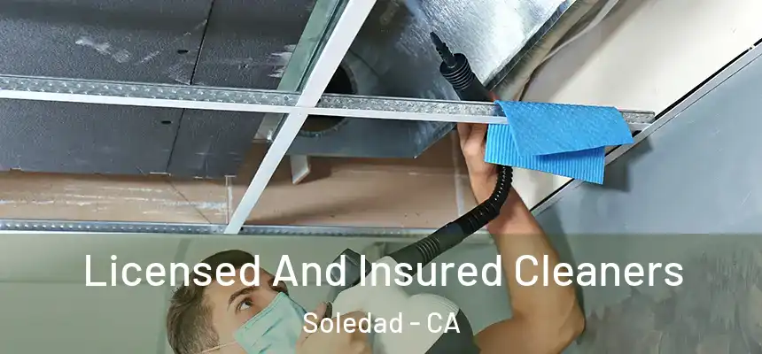  Licensed And Insured Cleaners Soledad - CA