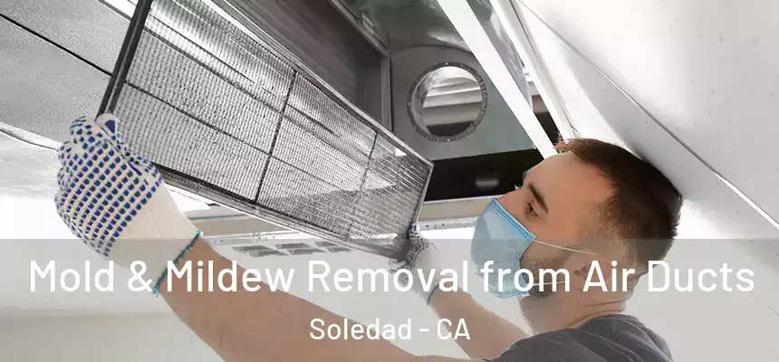 Mold & Mildew Removal from Air Ducts Soledad - CA