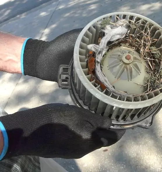 About Air Duct Rat Removal in Soledad, CA