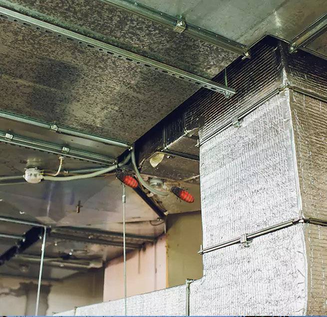 Why Homeowners & Businesses Trust Us in Soledad, CA?