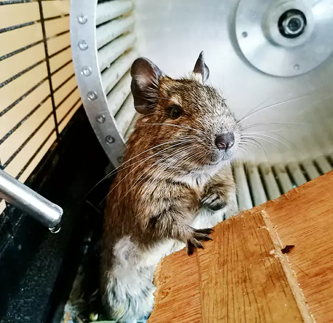 Why Homeowners & Businesses Trust Us Soledad, CA